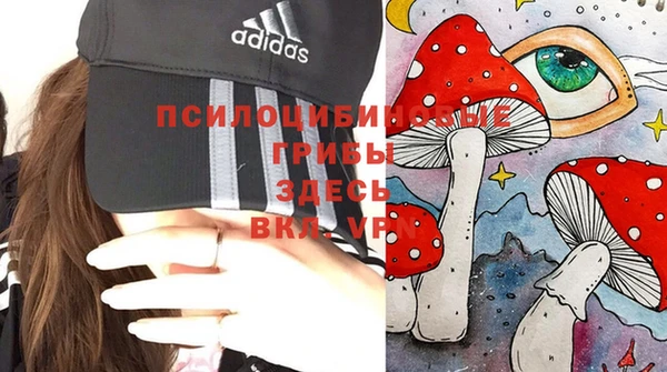 герыч Алексин