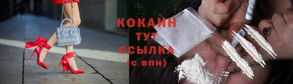 гашик Алексеевка