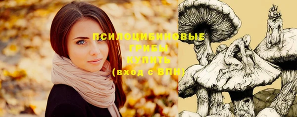 гашик Алексеевка