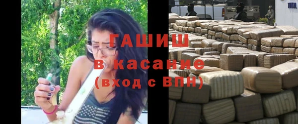 гашик Алексеевка
