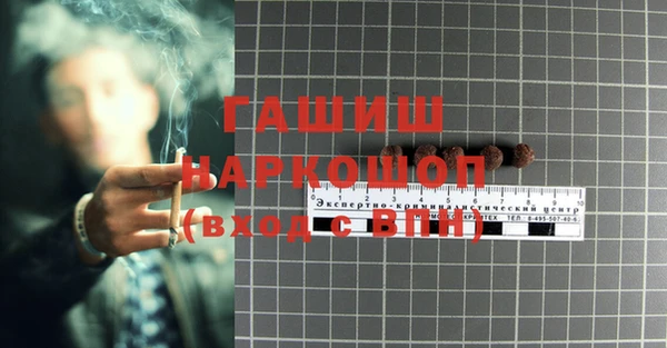 гашик Алексеевка