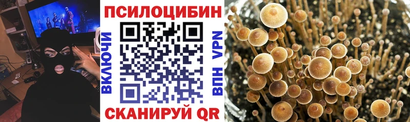Галлюциногенные грибы Psilocybine cubensis  что такое наркотик  Темрюк 