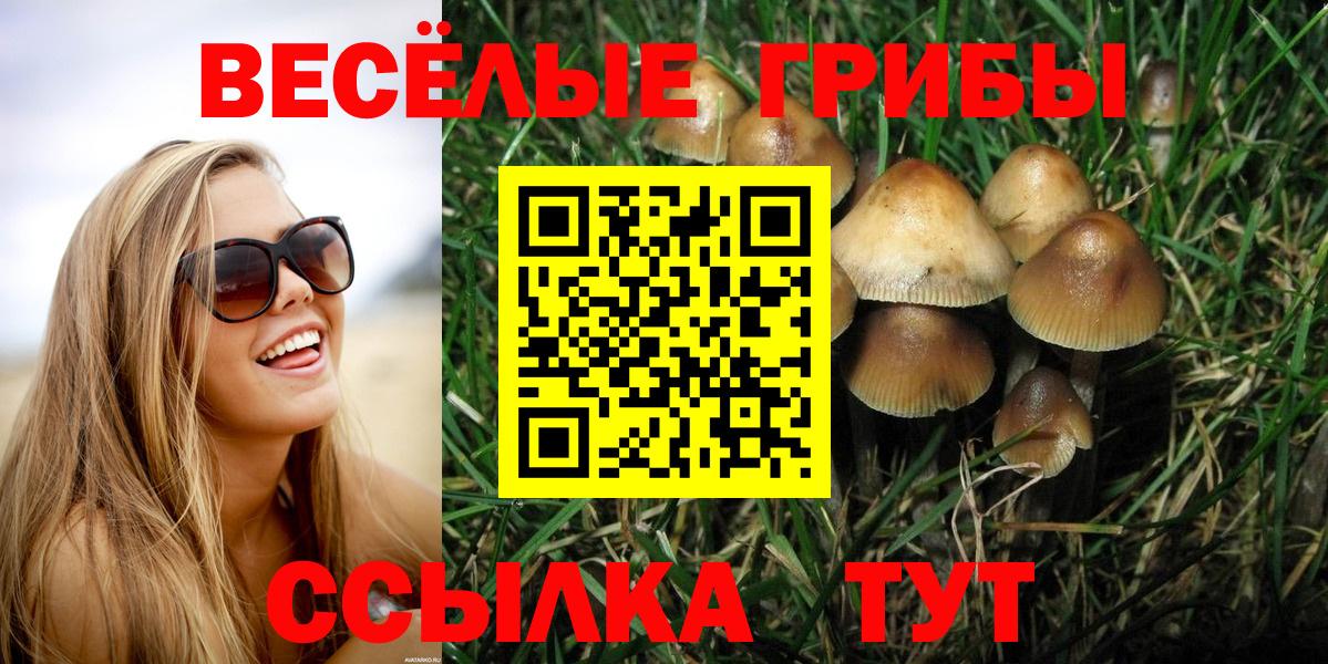 Псилоцибиновые грибы Psilocybine cubensis  Вход с VPN  Темрюк  Псилоцибиновые грибы Psilocybine cubensis 