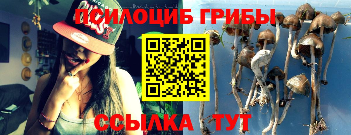 Галлюциногенные грибы MAGIC MUSHROOMS Темрюк